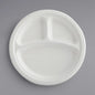 Compostable Bagasse Plates